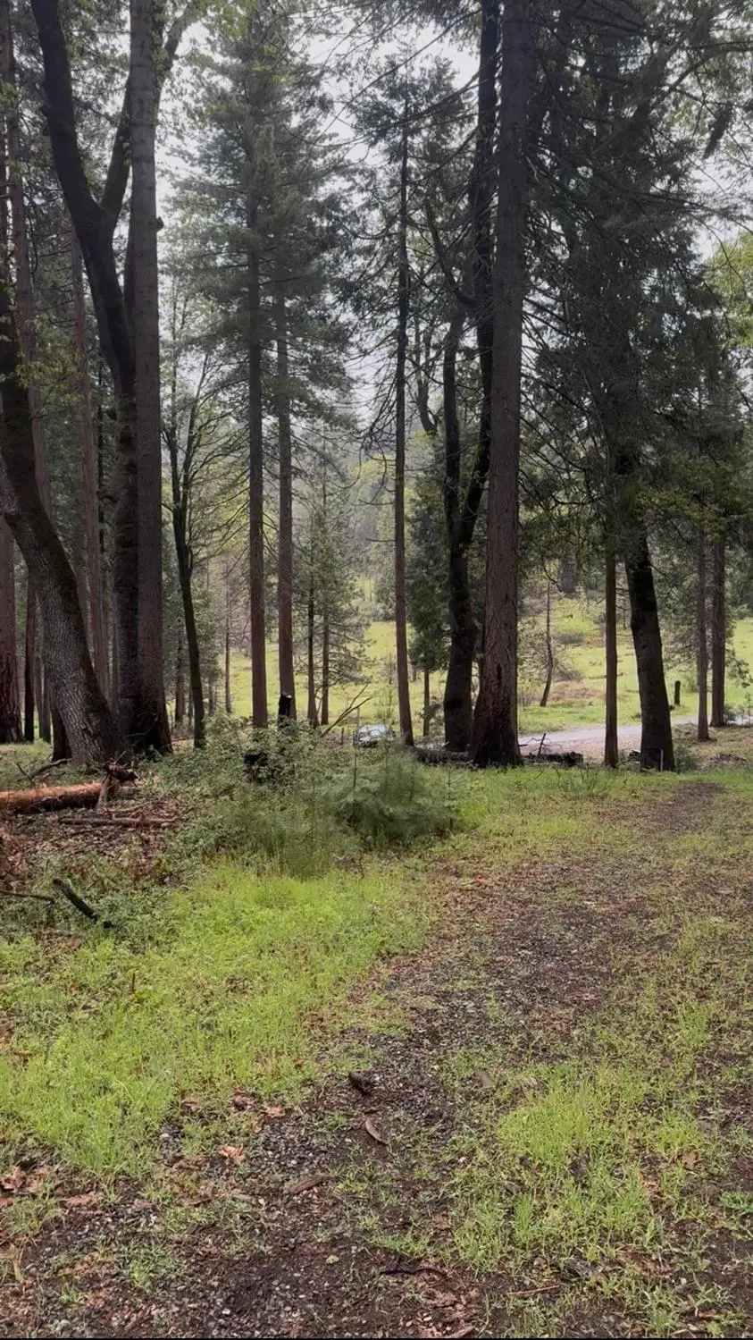 0 Lower Cressman, Auberry, CA 93602 - #2