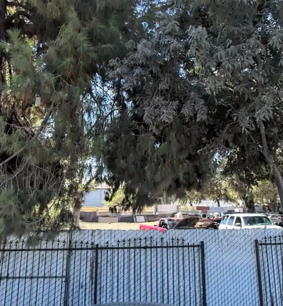 2012 E Clay Avenue, Fresno, CA 93701 - #1