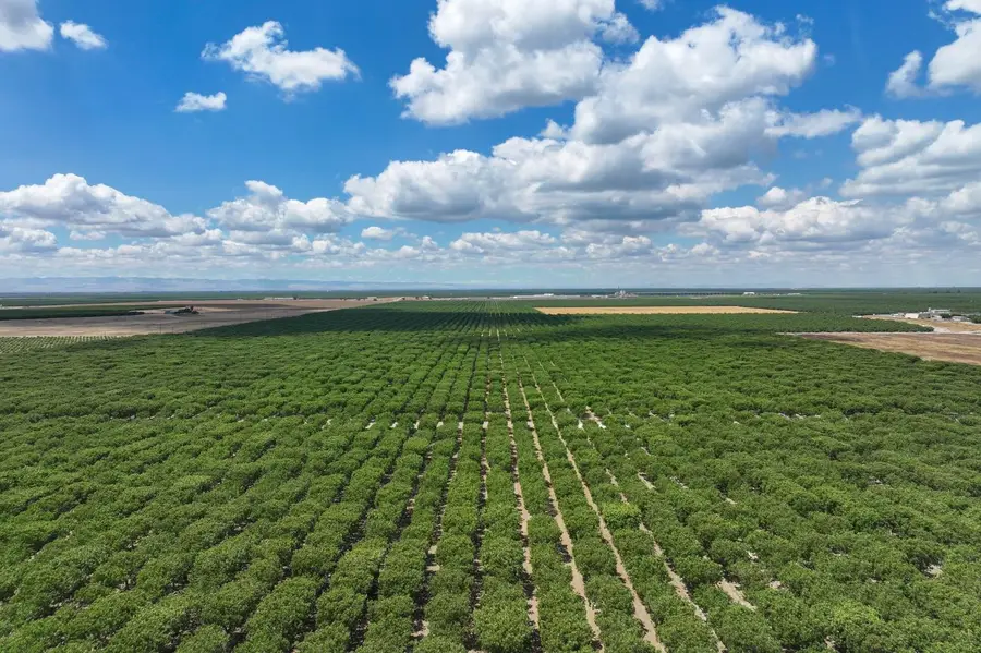 0 Kimberlina Road, Shafter, CA 93263 - #3