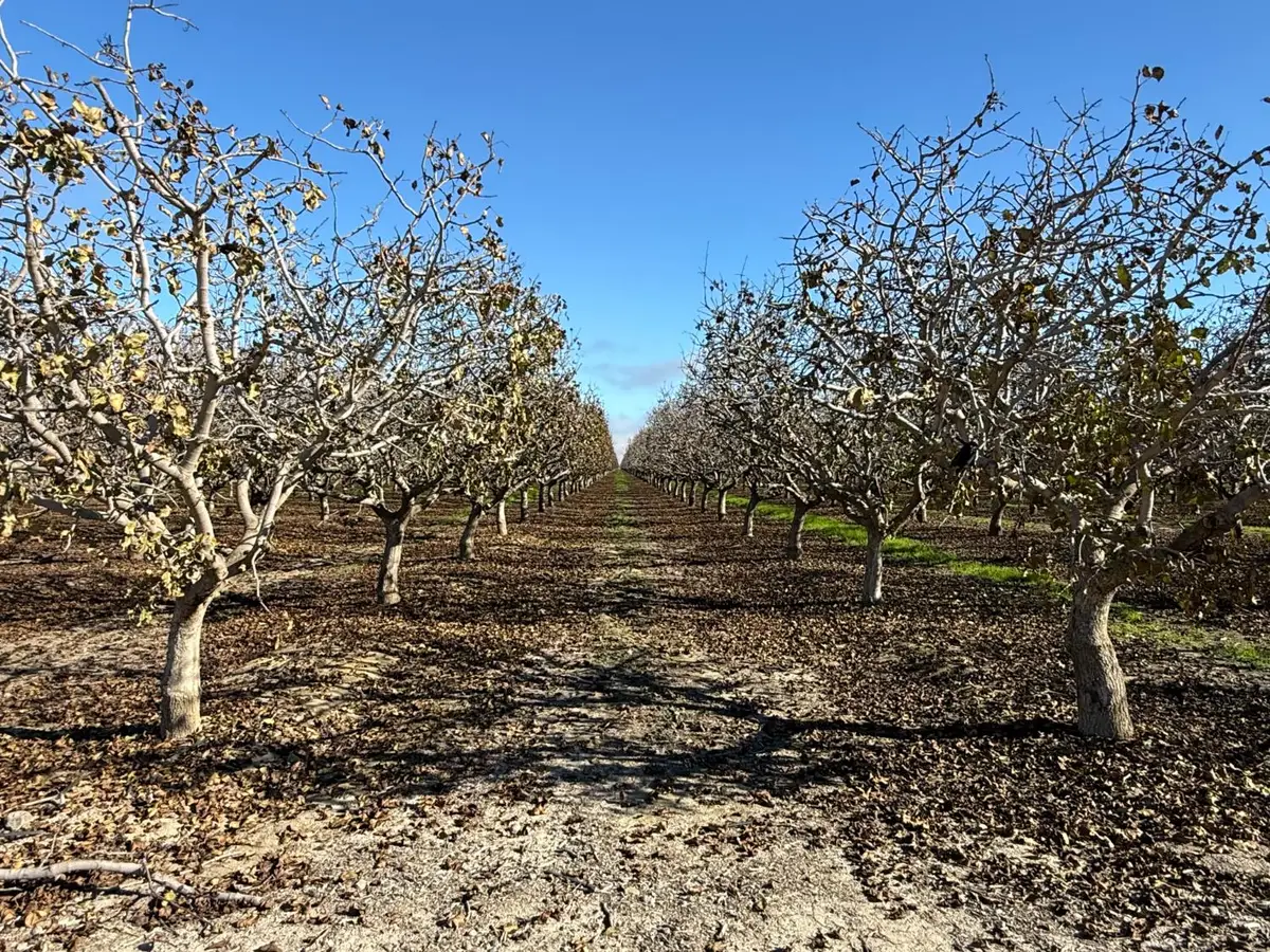 28000 W Jayne, Coalinga, CA 93210 - #1