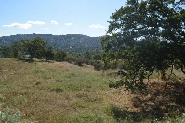1 Corral Dr, Coarsegold, CA 93614