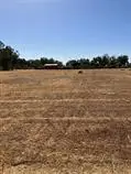 6960 N Highland Avenue, Clovis, CA 93619 - #1