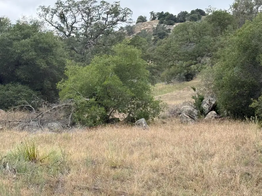 2112 N Dome, Coarsegold, CA 93614 - #3