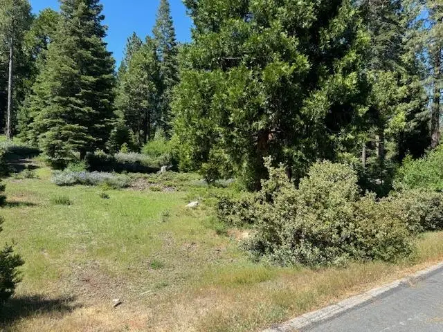 40902 Wild Iris Ln Lane, Shaver Lake, CA 93664 - #1