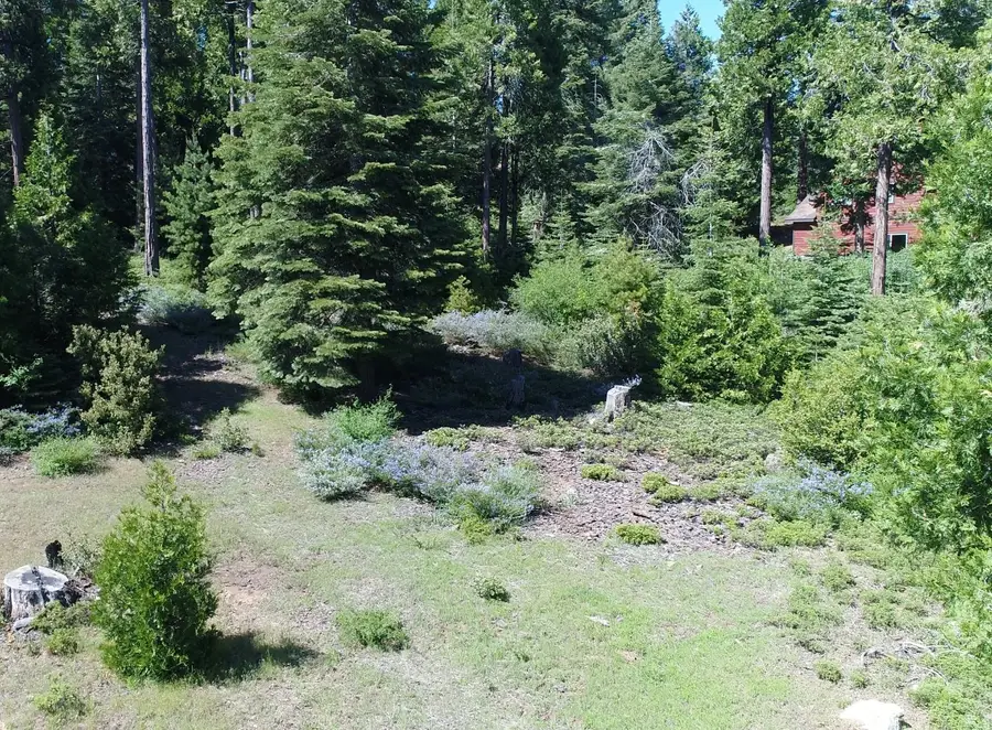 40902 Wild Iris Ln Lane, Shaver Lake, CA 93664 - #3