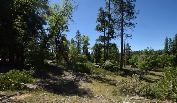 42352 Opal Lane #lot71, Shaver Lake, CA 93664