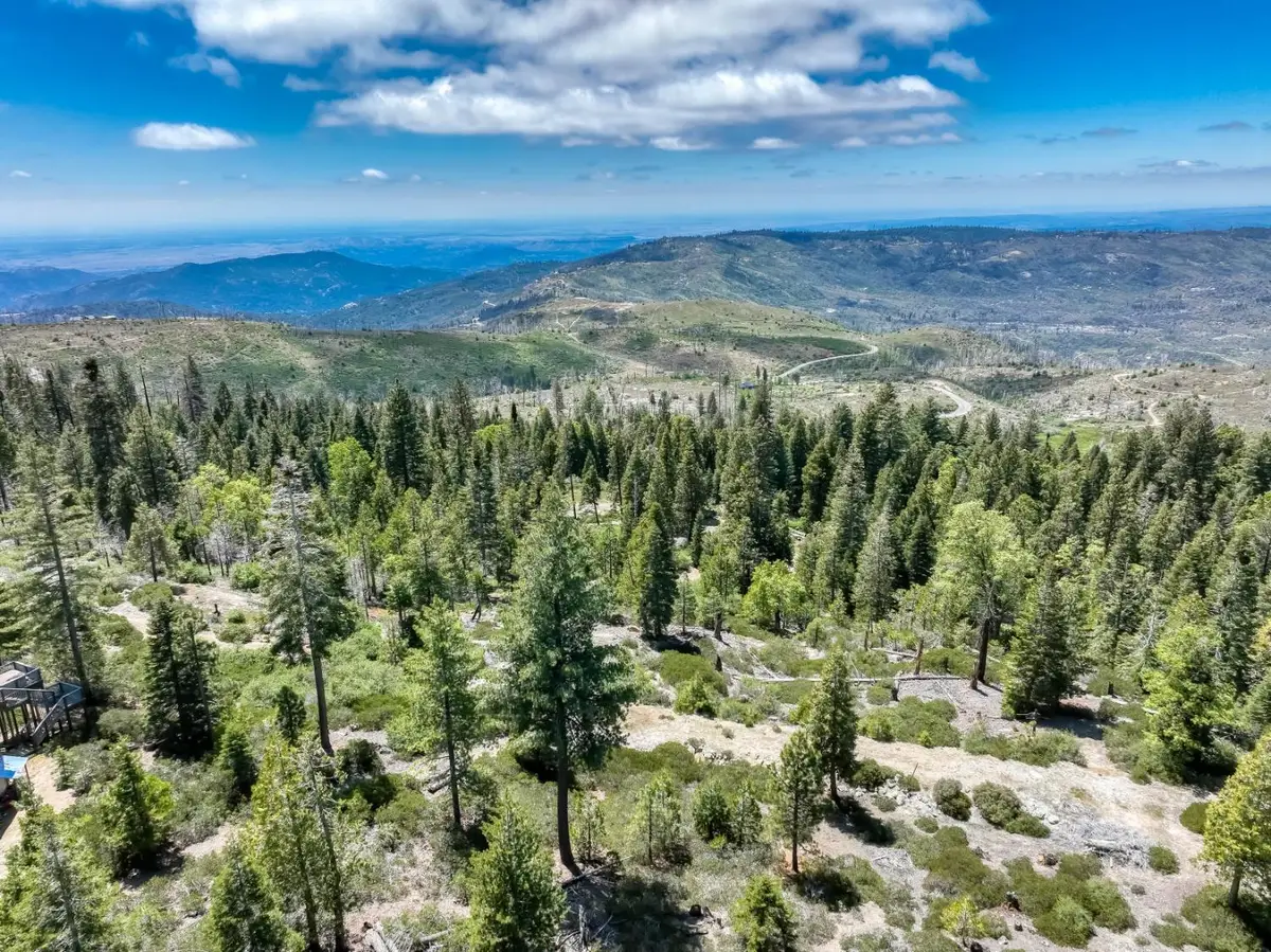44444 Fawn Lily Lane, Shaver Lake, CA 93664 - #1