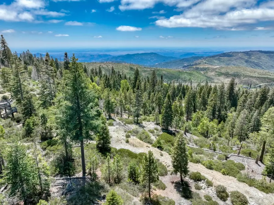 44444 Fawn Lily Lane, Shaver Lake, CA 93664 - #3