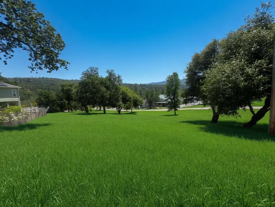 1 Old Stone Gate Ct, Oakhurst, CA 93644 - #2