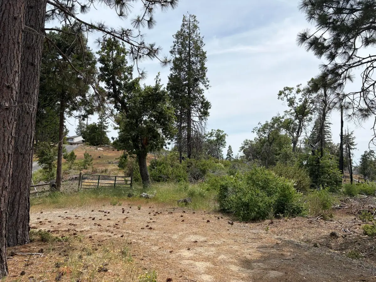 11111 Vista Del Valle, Auberry, CA 93602 - #1