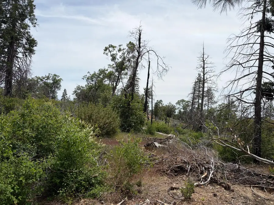 11111 Vista Del Valle, Auberry, CA 93602 - #3