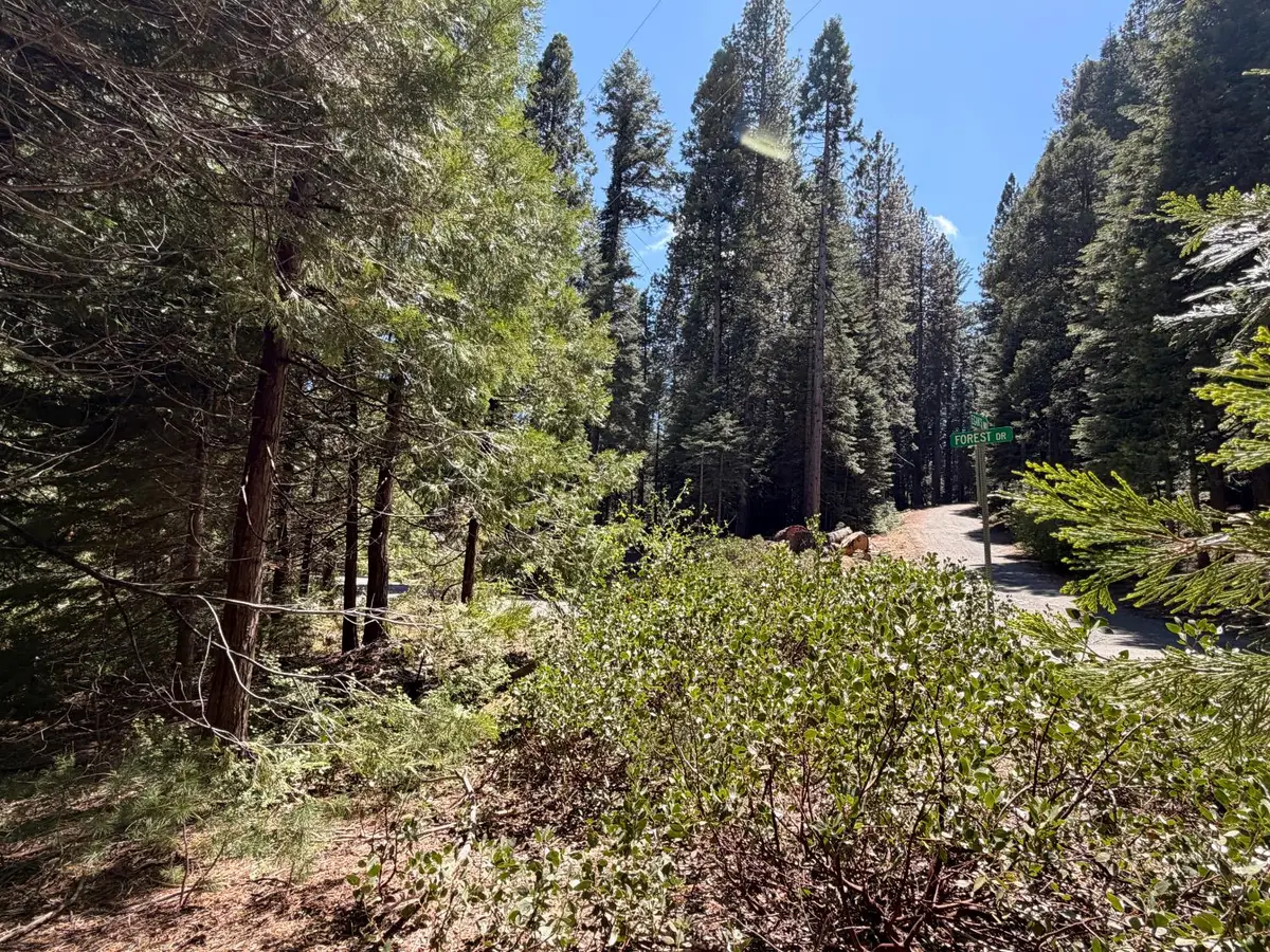 7631 Forest Drive, Fish Camp, CA 93623 - #1