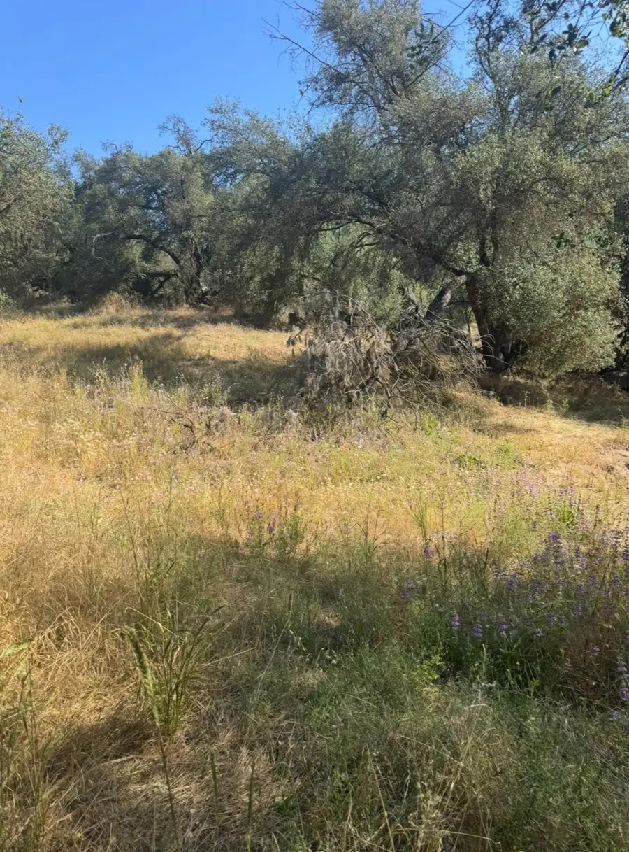 28595 Copper Creek Drive, Coarsegold, CA 93614 - #2