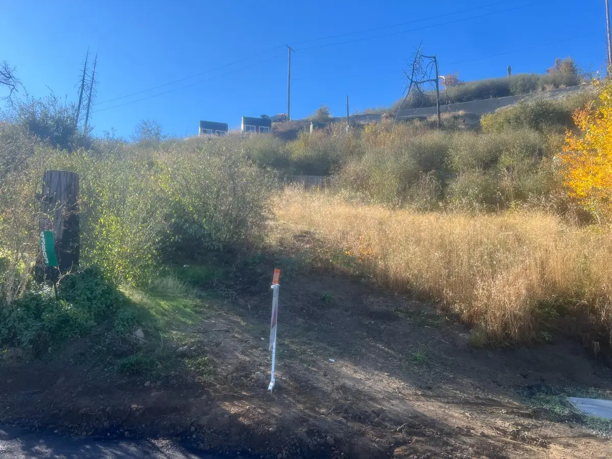 43803 Schubert Road, Auberry, CA 93602 - #1