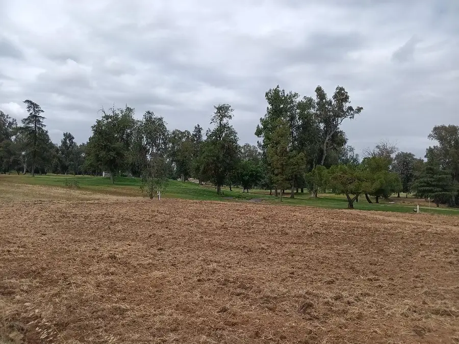 19324 Farallon Rd, Madera, CA 93638 - #3