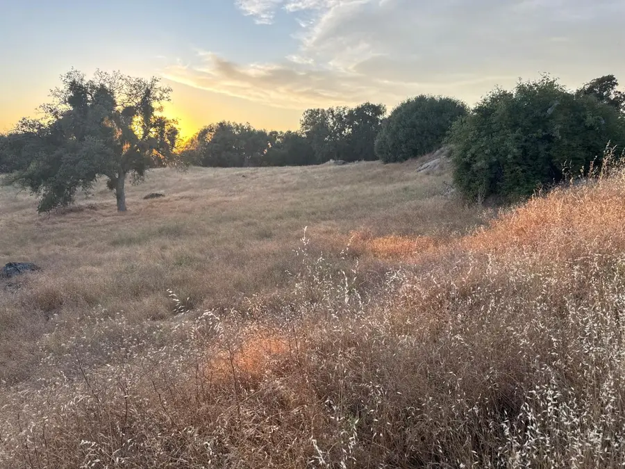 0 Buggy Whip Drive, Coarsegold, CA 93614 - #3