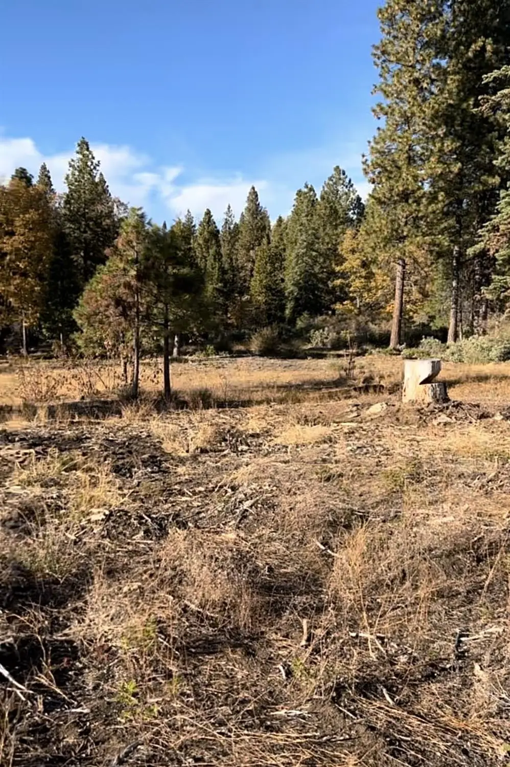 0 Shaver Lake, Auberry, CA 93602 - #1