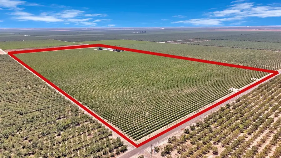 11388 S Chateau Fresno Avenue, Caruthers, CA 93609 - #3
