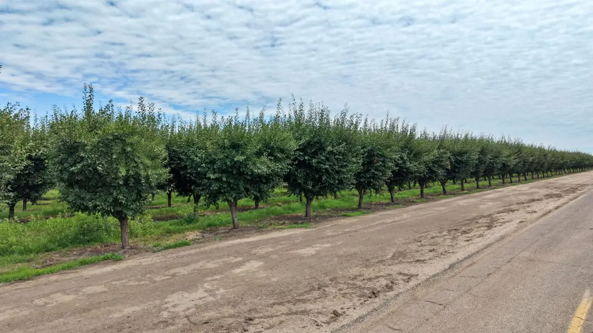 6539 Road 29, Madera, CA 93637 - #1