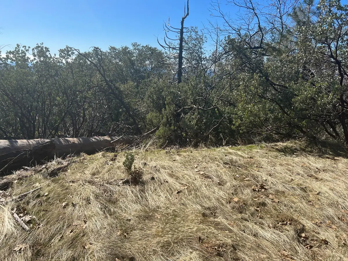 6225 Old Mill Road, Mariposa, CA 95338 - #1