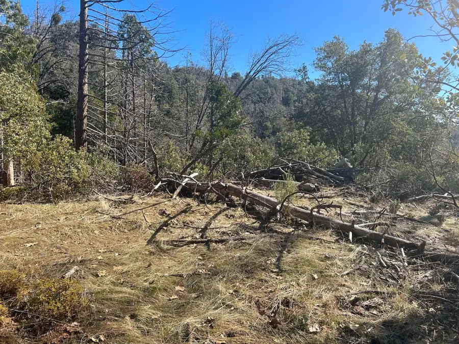 6225 Old Mill Road, Mariposa, CA 95338 - #3