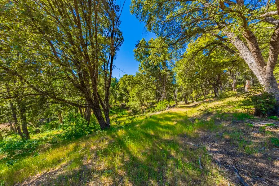 5 3 Springs Road, Oakhurst, CA 93644 - #2