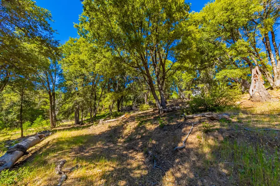 5 3 Springs Road, Oakhurst, CA 93644 - #3