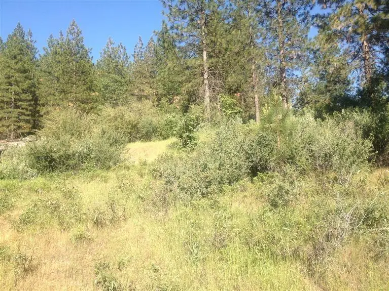 0 E Trimmer Springs Rd, Sanger, CA 93657 - #2
