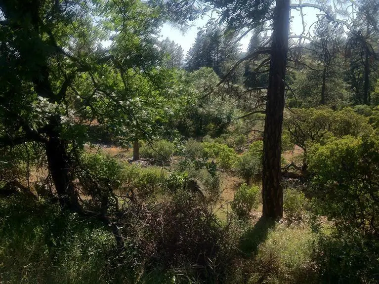 0 E Trimmer Springs Rd, Sanger, CA 93657 - #3