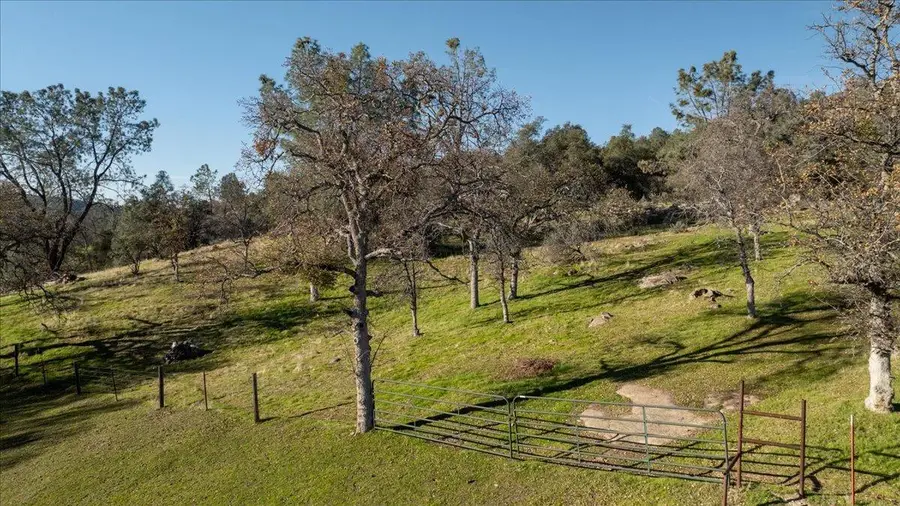 29296 Grapevine, Coarsegold, CA 93614 - #3