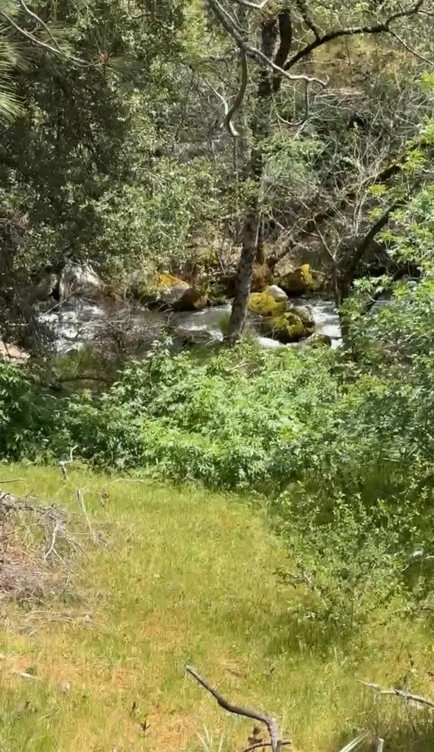 43929 Badger Hollow Trl, Oakhurst, CA 93644 - #2