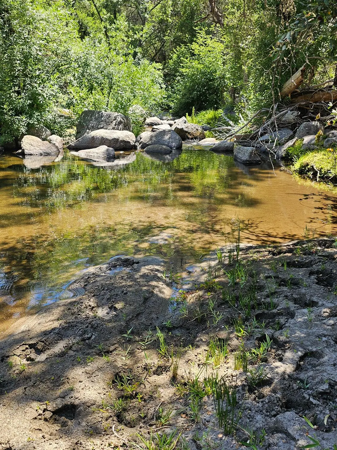 0 Rush Creek Road, Sierra, CA 93726 - #1