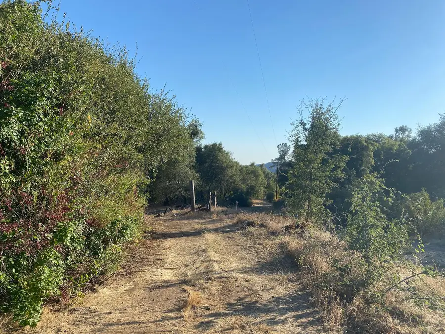 53748 Dogwood Drive, North Fork, CA 93643 - #3