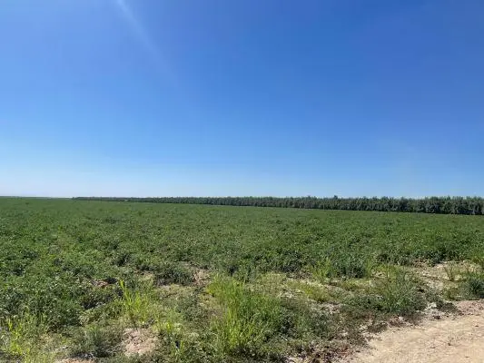 1 S Siskiyou, Kerman, CA 93630 - #3