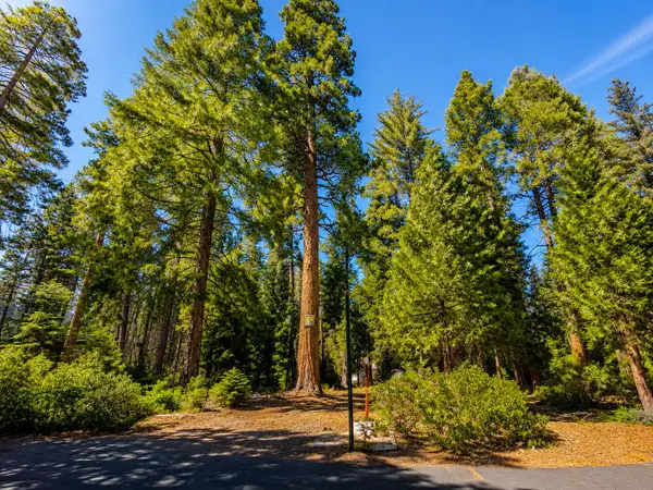 42185 Smoke Tree Lane, Shaver Lake, CA 93664