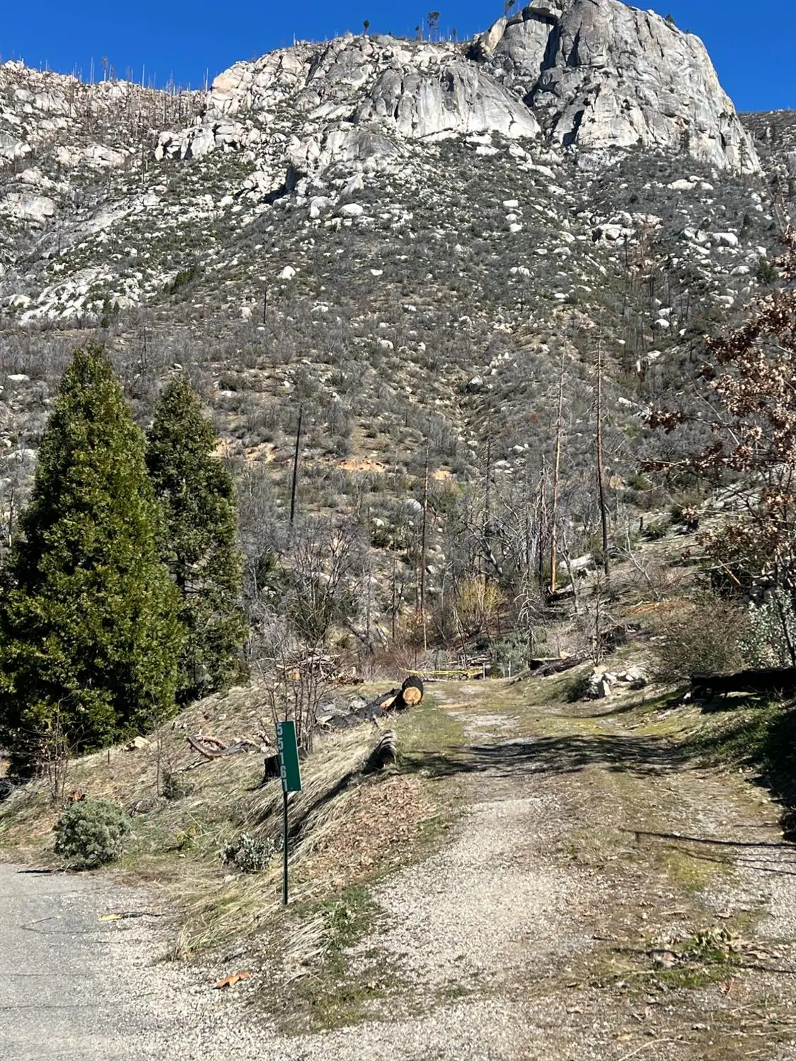 55161 Jungletown Lane, Big Creek, CA 93605 - #1