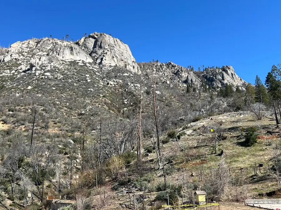 55161 Jungletown Lane, Big Creek, CA 93605 - #2