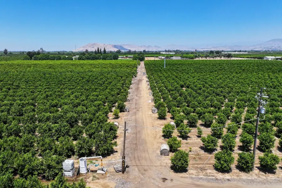 21868 E Manning Avenue, Reedley, CA 93654 - #2