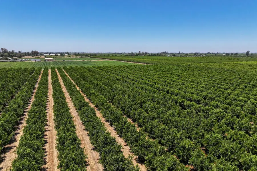 21868 E Manning Avenue, Reedley, CA 93654 - #3