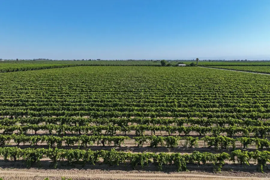 14491 S Thompson Avenue, Selma, CA 93662 - #2