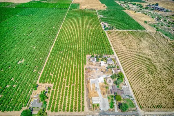 3590 S Mccall Avenue, Sanger, CA 93657