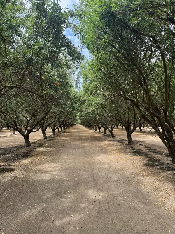 18700 Road 16, Chowchilla, CA 93610