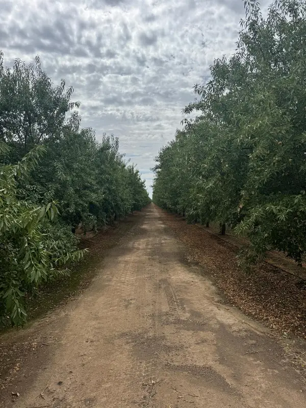 22741 Road 18 1/2, Chowchilla, CA 93610