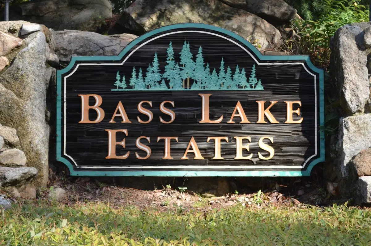 53974 Dogwood Creek Drive, Bass Lake, CA 93604 - #1