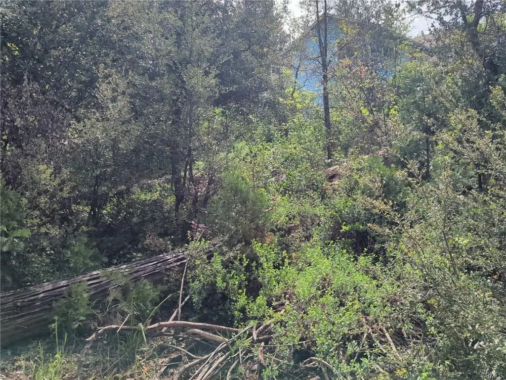 53309 Road 432, Bass Lake, CA 93604 - #1