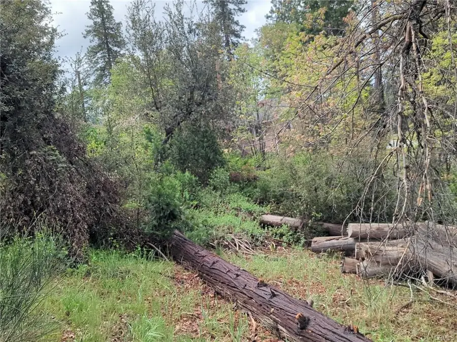 53309 Road 432, Bass Lake, CA 93604 - #2
