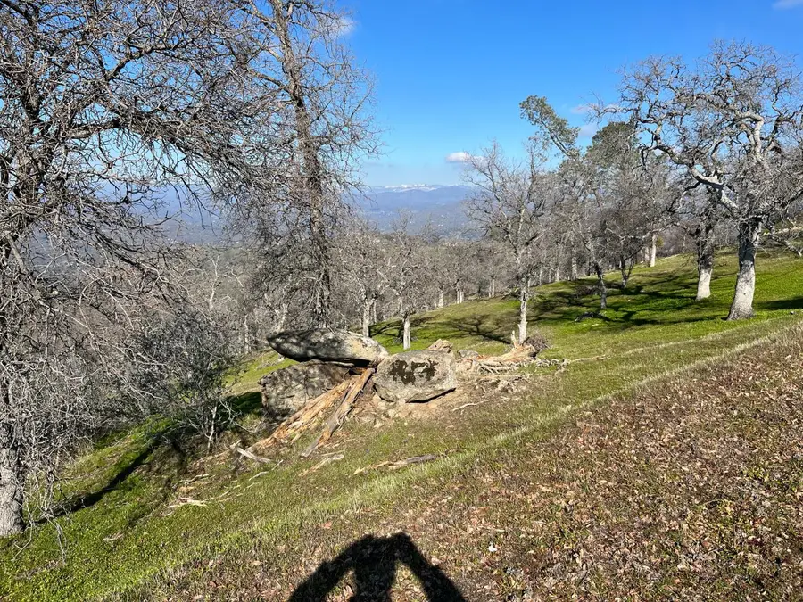 41173 Lilley Mountain Drive, Coarsegold, CA 93614 - #2