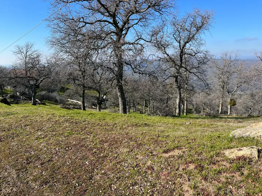 41173 Lilley Mountain Drive, Coarsegold, CA 93614 - #3
