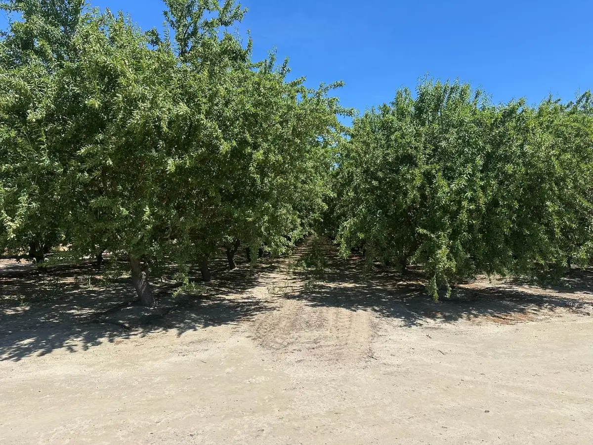 1 S. Chestnut & E. Mountain View, Selma, CA 93662 - #1