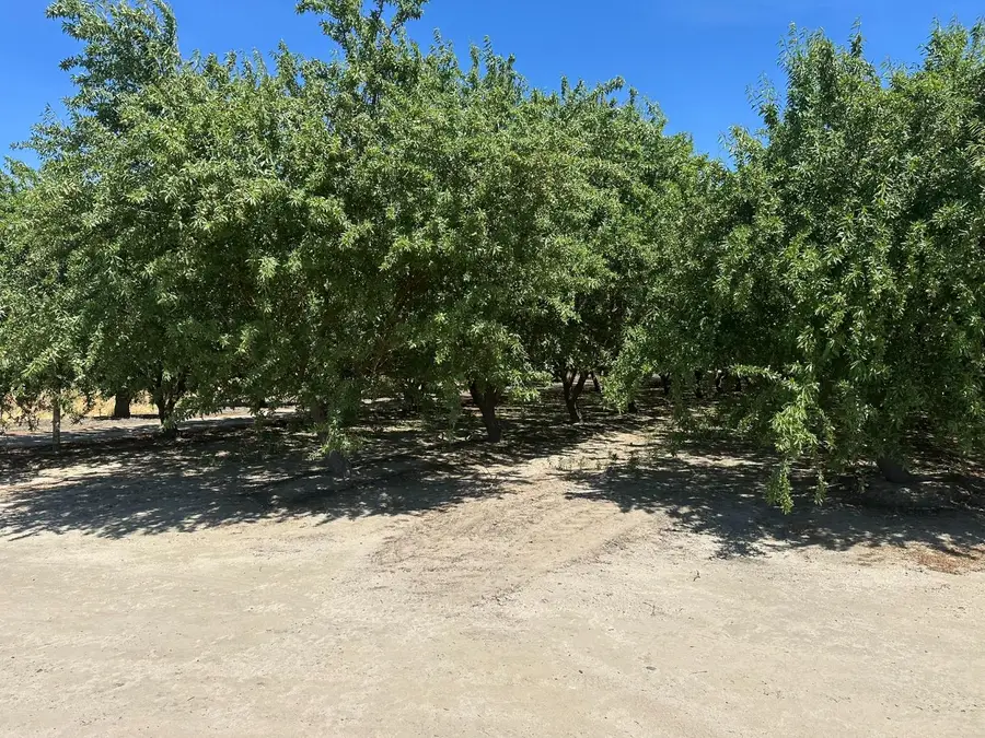 1 S. Chestnut & E. Mountain View, Selma, CA 93662 - #2